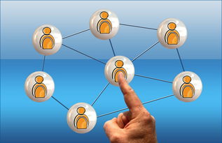 網(wǎng)絡(luò)營(yíng)銷產(chǎn)品與軟件銷售全攻略 策略、工具與實(shí)戰(zhàn)技巧