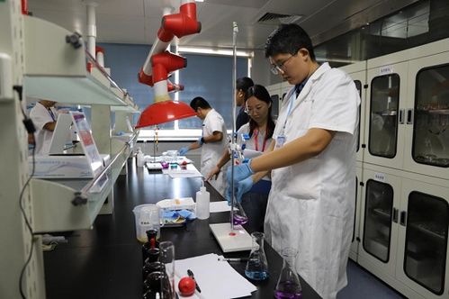 臨沂市舉辦2024年食品安全檢驗檢測技術技能競賽 助推生物基材料技術研發(fā)與高質(zhì)量發(fā)展