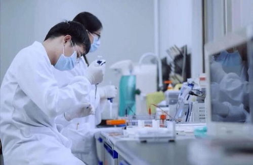 從土壤到實(shí)驗(yàn)室 中國(guó)引領(lǐng)化學(xué)合成糧食量產(chǎn)新紀(jì)元